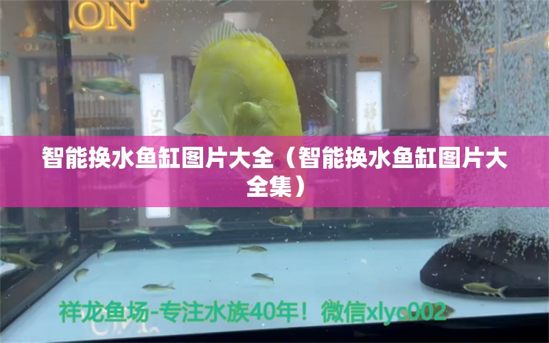 智能換水魚缸圖片大全（智能換水魚缸圖片大全集）