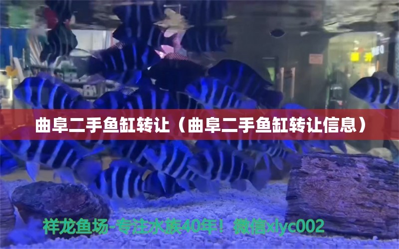 曲阜二手魚缸轉(zhuǎn)讓（曲阜二手魚缸轉(zhuǎn)讓信息）