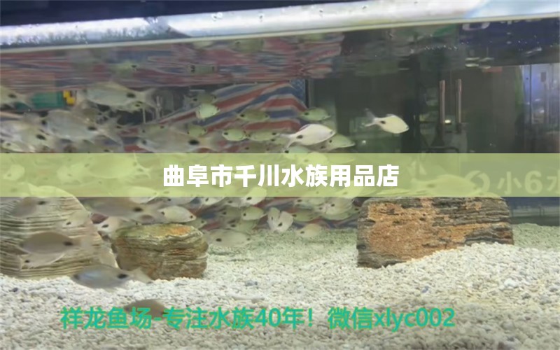 曲阜市千川水族用品店