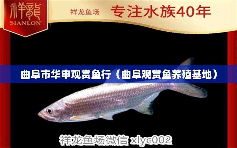 曲阜市華申觀賞魚行（曲阜觀賞魚養(yǎng)殖基地） 全國水族館企業(yè)名錄