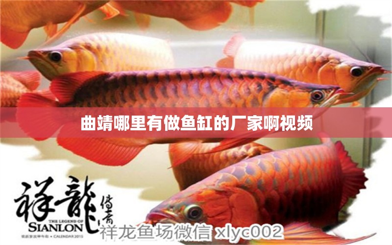 曲靖哪里有做魚缸的廠家啊視頻 祥龍魚場