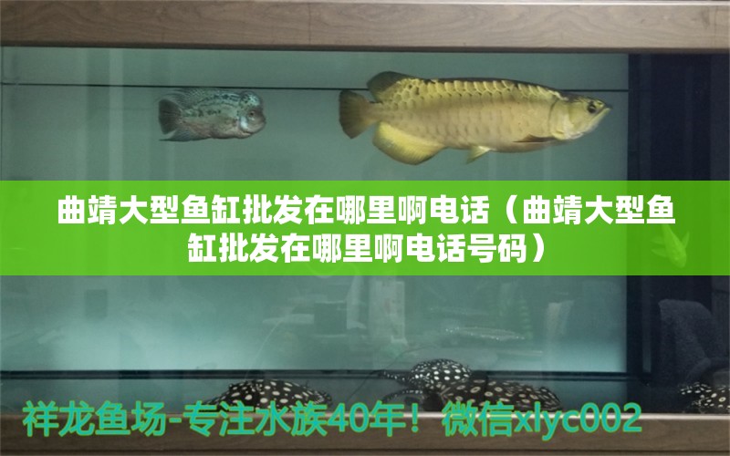 曲靖大型魚缸批發(fā)在哪里啊電話（曲靖大型魚缸批發(fā)在哪里啊電話號碼）