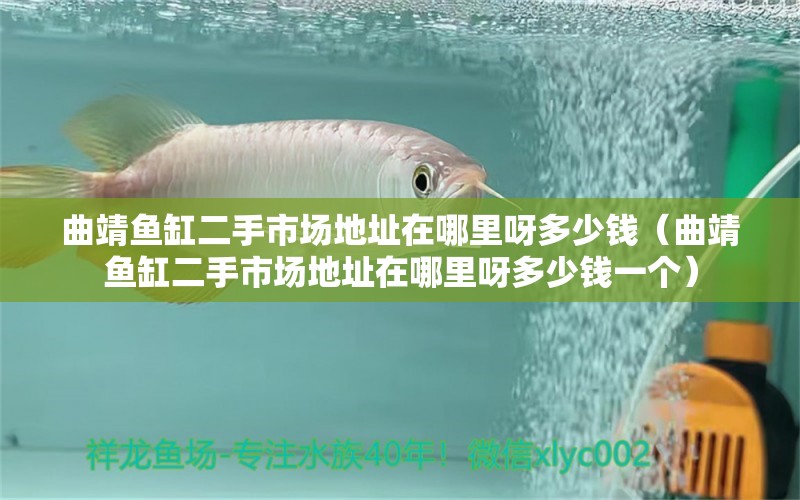 曲靖魚缸二手市場地址在哪里呀多少錢（曲靖魚缸二手市場地址在哪里呀多少錢一個） 其它水族用具設備