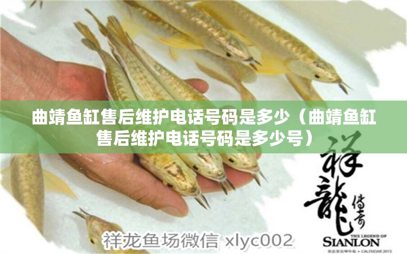 曲靖魚(yú)缸售后維護(hù)電話(huà)號(hào)碼是多少（曲靖魚(yú)缸售后維護(hù)電話(huà)號(hào)碼是多少號(hào)）