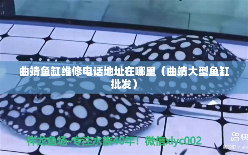 曲靖魚缸維修電話地址在哪里（曲靖大型魚缸批發(fā)）