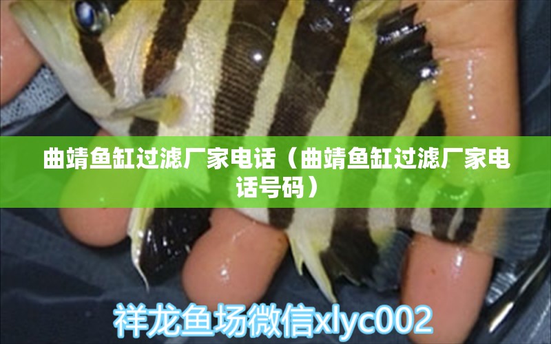 曲靖魚缸過濾廠家電話（曲靖魚缸過濾廠家電話號碼） 養(yǎng)魚知識