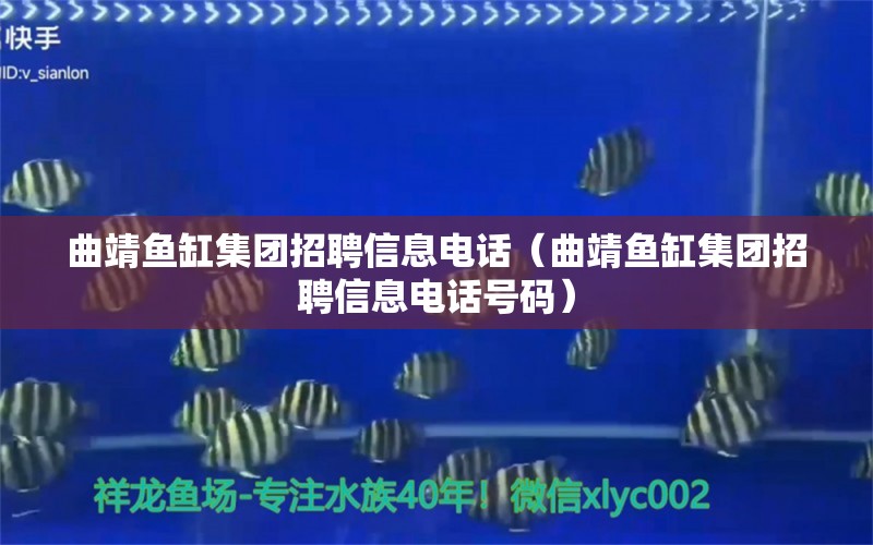 曲靖魚缸集團招聘信息電話（曲靖魚缸集團招聘信息電話號碼）