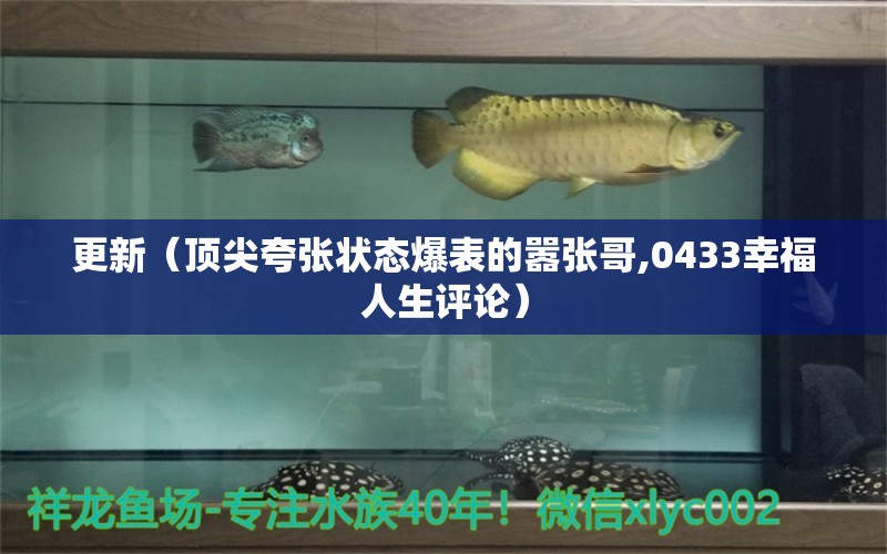 更新（頂尖夸張狀態(tài)爆表的囂張哥,0433幸福人生評論） 觀賞魚論壇 第2張