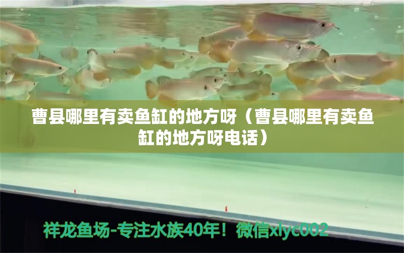 曹縣哪里有賣(mài)魚(yú)缸的地方呀（曹縣哪里有賣(mài)魚(yú)缸的地方呀電話）