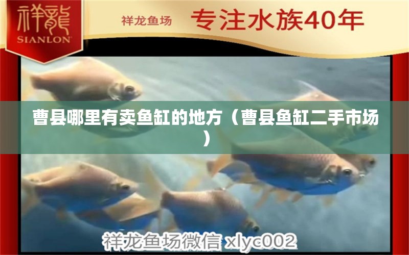 曹縣哪里有賣魚缸的地方（曹縣魚缸二手市場(chǎng)） 廣州觀賞魚批發(fā)市場(chǎng)