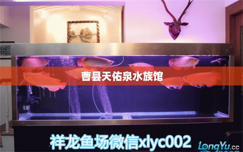 曹縣天佑泉水族館 全國(guó)水族館企業(yè)名錄