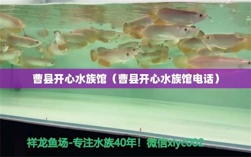 曹縣開(kāi)心水族館（曹縣開(kāi)心水族館電話(huà)） 全國(guó)水族館企業(yè)名錄