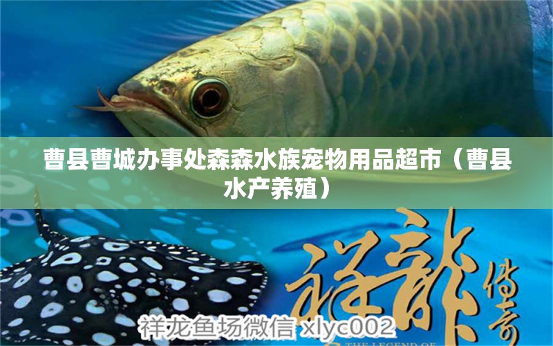 曹縣曹城辦事處森森水族寵物用品超市（曹縣水產(chǎn)養(yǎng)殖） 全國(guó)水族館企業(yè)名錄