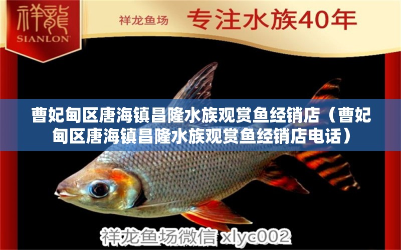 曹妃甸區(qū)唐海鎮(zhèn)昌隆水族觀賞魚經(jīng)銷店（曹妃甸區(qū)唐海鎮(zhèn)昌隆水族觀賞魚經(jīng)銷店電話） 全國水族館企業(yè)名錄