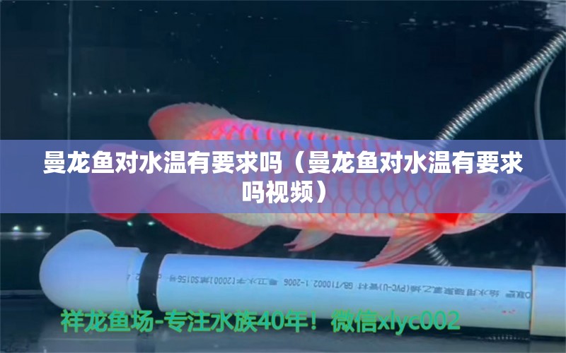 曼龍魚對水溫有要求嗎（曼龍魚對水溫有要求嗎視頻）