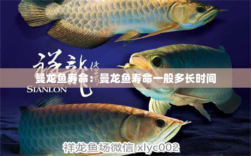 曼龍魚壽命：曼龍魚壽命一般多長時間