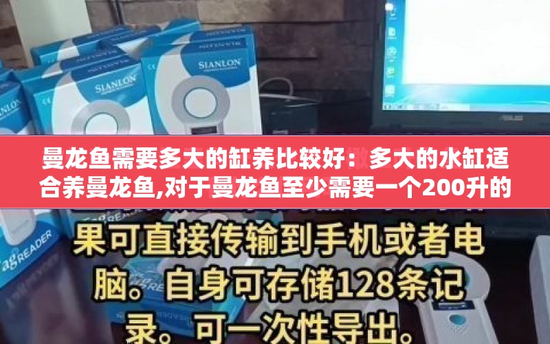 曼龍魚需要多大的缸養(yǎng)比較好：多大的水缸適合養(yǎng)曼龍魚,對于曼龍魚至少需要一個(gè)200升的水容量 水族問答