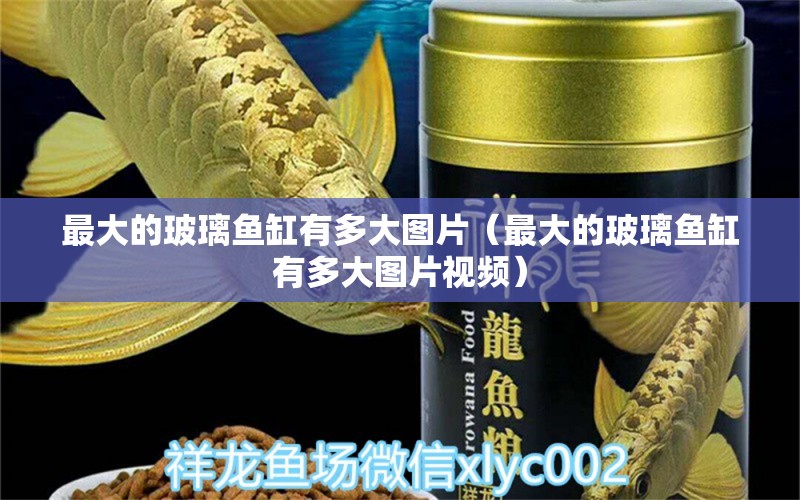 最大的玻璃魚缸有多大圖片（最大的玻璃魚缸有多大圖片視頻） 其他品牌魚缸