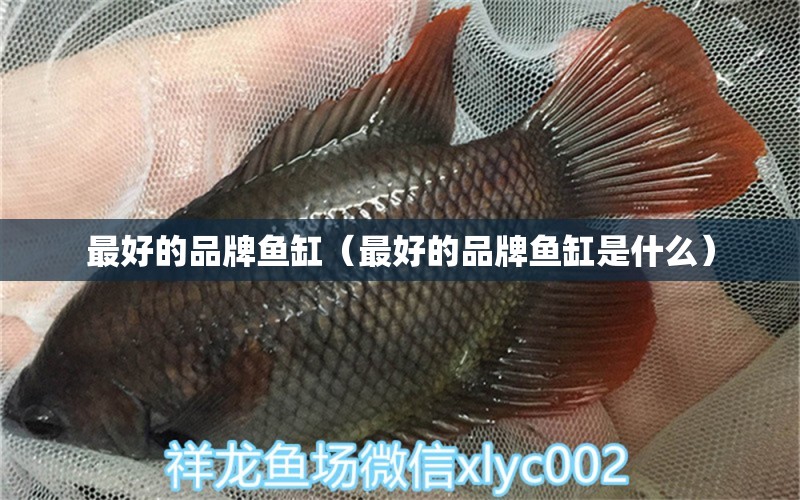 最好的品牌魚缸（最好的品牌魚缸是什么） 其他品牌魚缸