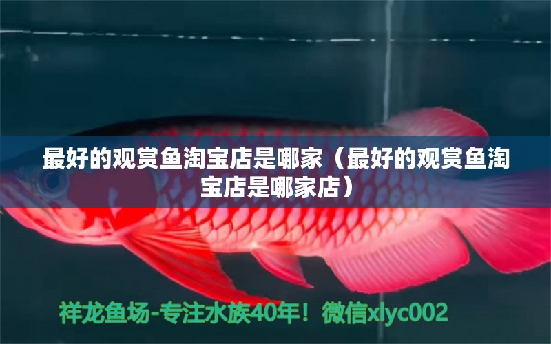 最好的觀賞魚(yú)淘寶店是哪家（最好的觀賞魚(yú)淘寶店是哪家店）