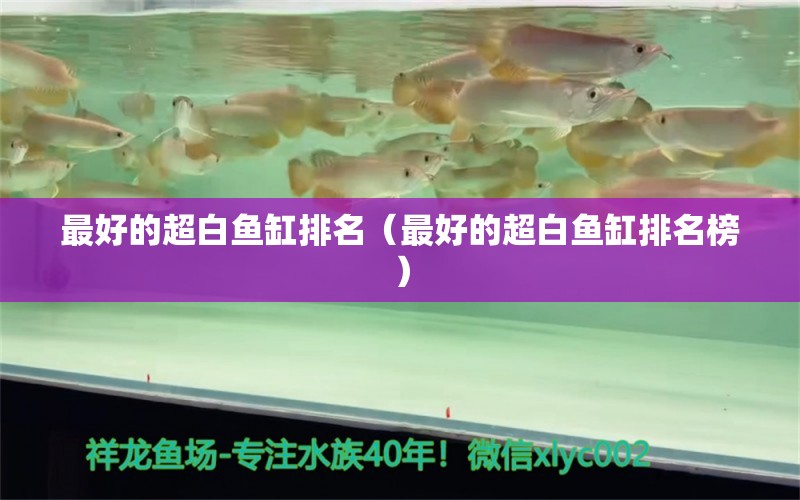 最好的超白魚缸排名（最好的超白魚缸排名榜）