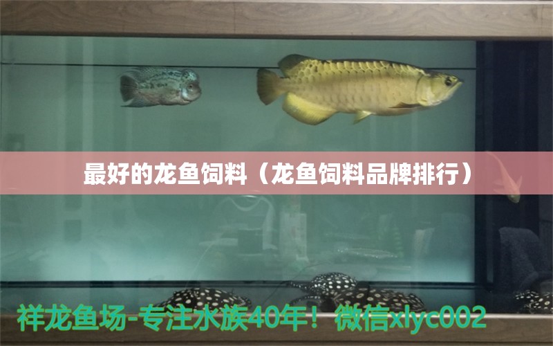 最好的龍魚飼料（龍魚飼料品牌排行） 龍魚百科 第2張