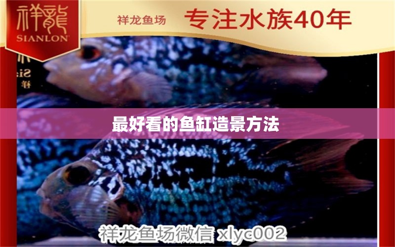 最好看的魚缸造景方法  白子球鯊魚