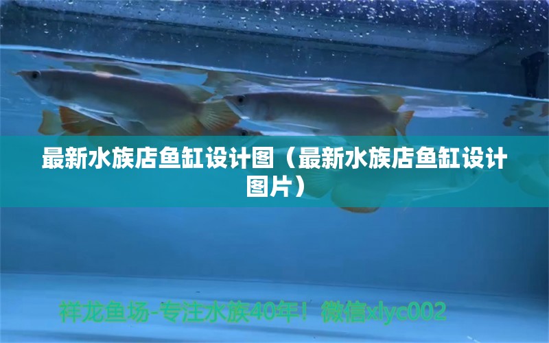 最新水族店魚(yú)缸設(shè)計(jì)圖（最新水族店魚(yú)缸設(shè)計(jì)圖片）