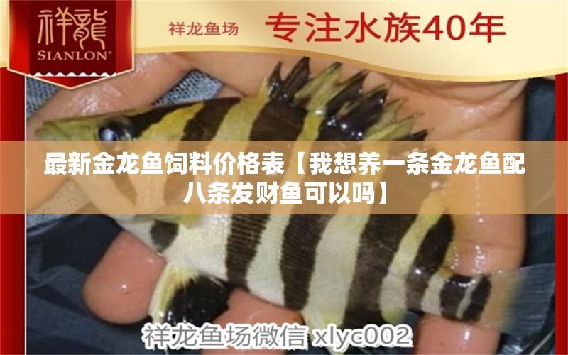 最新金龍魚(yú)飼料價(jià)格表【我想養(yǎng)一條金龍魚(yú)配八條發(fā)財(cái)魚(yú)可以嗎】