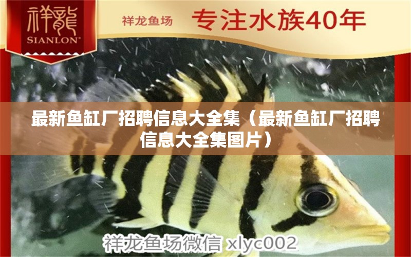 最新魚缸廠招聘信息大全集（最新魚缸廠招聘信息大全集圖片）