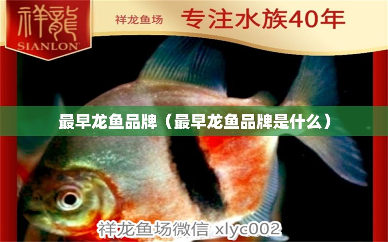 最早龍魚品牌（最早龍魚品牌是什么）