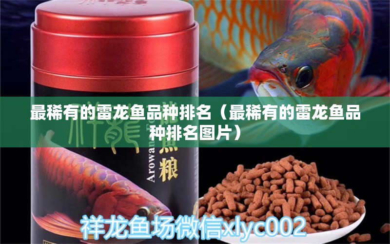 最稀有的雷龍魚(yú)品種排名（最稀有的雷龍魚(yú)品種排名圖片） 祥龍魚(yú)場(chǎng)