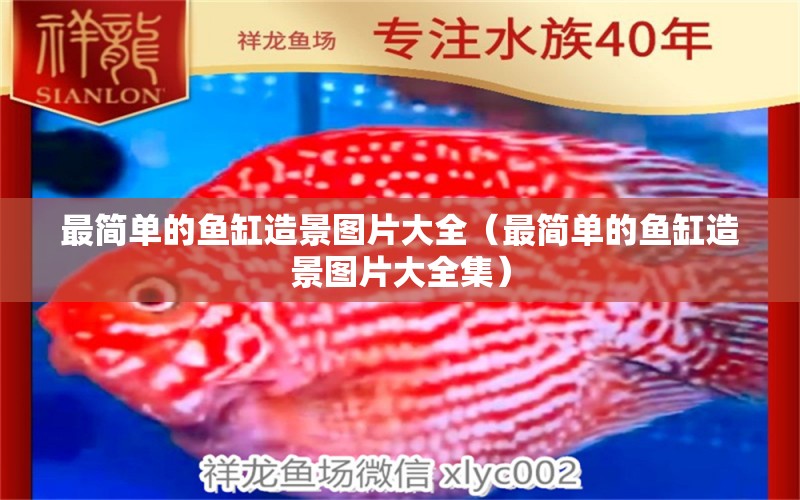 最簡單的魚缸造景圖片大全（最簡單的魚缸造景圖片大全集）