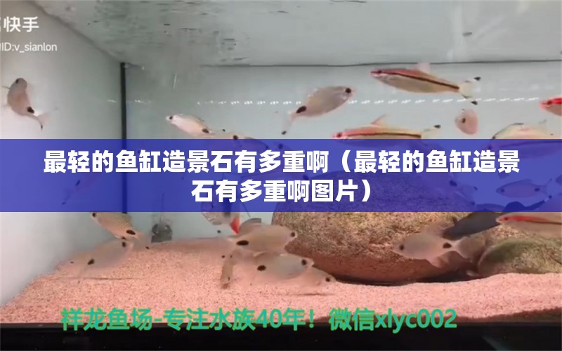 最輕的魚缸造景石有多重?。ㄗ钶p的魚缸造景石有多重啊圖片） 水族維護(hù)服務(wù)（上門）