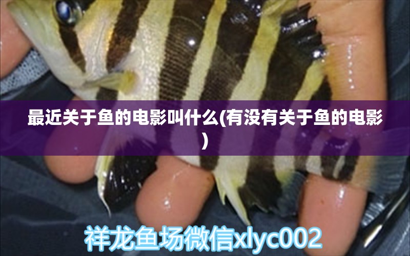 最近關(guān)于魚的電影叫什么(有沒(méi)有關(guān)于魚的電影) 沖氧泵