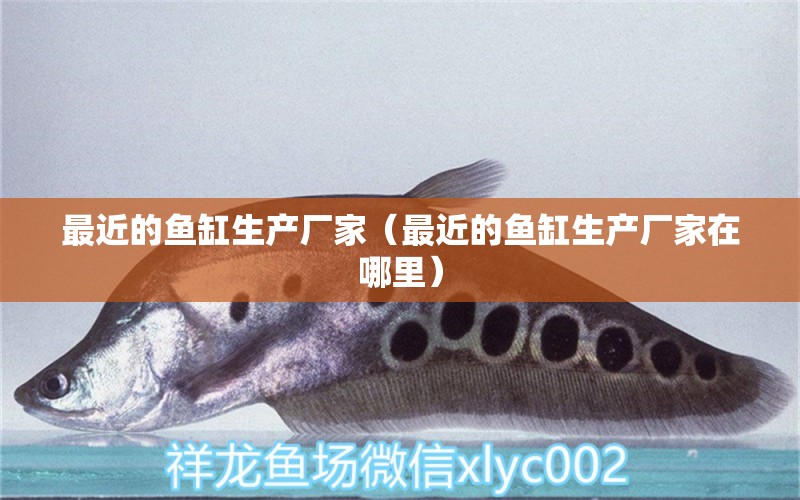 最近的魚缸生產(chǎn)廠家（最近的魚缸生產(chǎn)廠家在哪里）