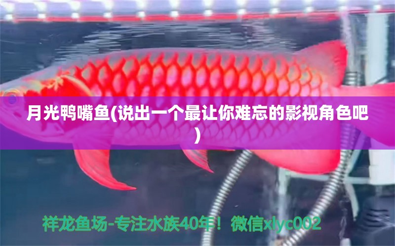 月光鴨嘴魚(說出一個最讓你難忘的影視角色吧) 月光鴨嘴魚