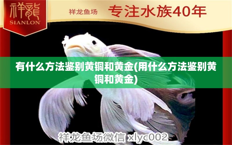 有什么方法鑒別黃銅和黃金(用什么方法鑒別黃銅和黃金) 黃金鴨嘴魚