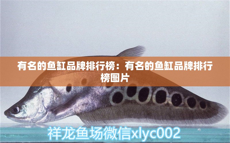 有名的魚缸品牌排行榜：有名的魚缸品牌排行榜圖片 廣州龍魚批發(fā)市場