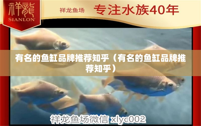 有名的魚(yú)缸品牌推薦知乎（有名的魚(yú)缸品牌推薦知乎）