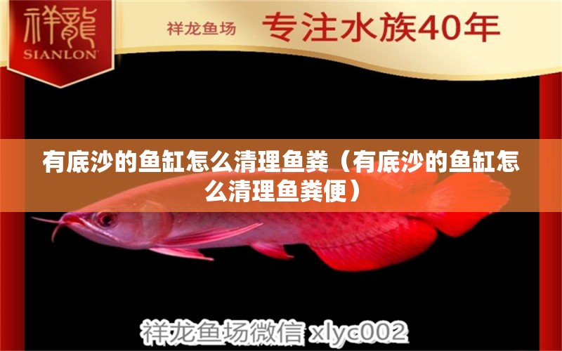 有底沙的魚(yú)缸怎么清理魚(yú)糞（有底沙的魚(yú)缸怎么清理魚(yú)糞便）