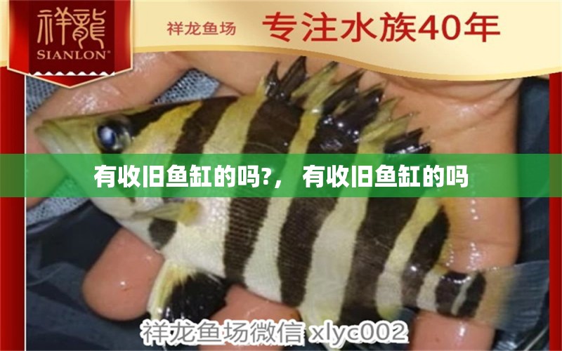 有收舊魚缸的嗎?， 有收舊魚缸的嗎