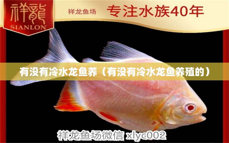 有沒(méi)有冷水龍魚(yú)養(yǎng)（有沒(méi)有冷水龍魚(yú)養(yǎng)殖的）