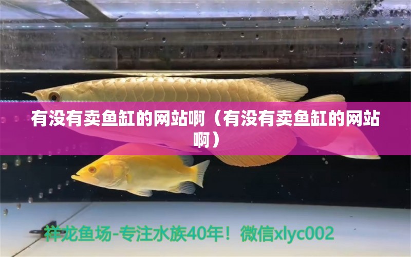 有沒有賣魚缸的網(wǎng)站?。ㄓ袥]有賣魚缸的網(wǎng)站?。?觀賞魚市場（混養(yǎng)魚）