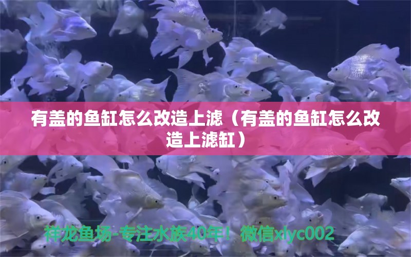 有蓋的魚缸怎么改造上濾（有蓋的魚缸怎么改造上濾缸）