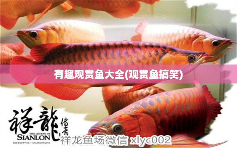 有趣觀賞魚大全(觀賞魚搞笑) 水族燈（魚缸燈）