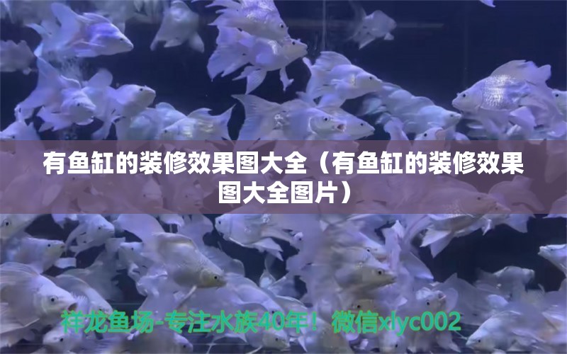 有魚缸的裝修效果圖大全（有魚缸的裝修效果圖大全圖片）