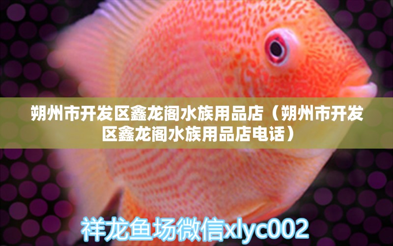 朔州市開發(fā)區(qū)鑫龍閣水族用品店（朔州市開發(fā)區(qū)鑫龍閣水族用品店電話）