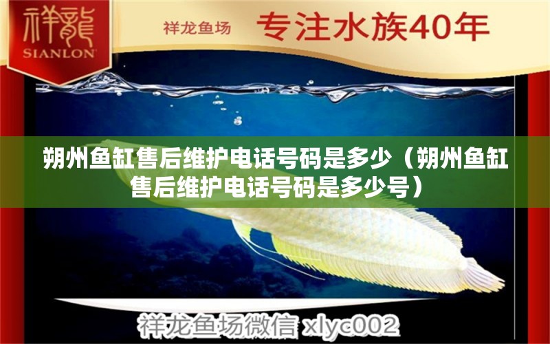 朔州魚(yú)缸售后維護(hù)電話號(hào)碼是多少（朔州魚(yú)缸售后維護(hù)電話號(hào)碼是多少號(hào)）