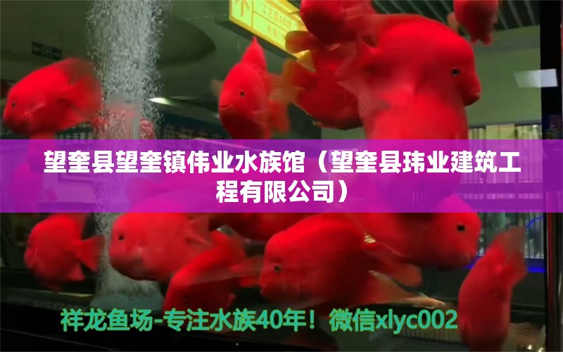 望奎縣望奎鎮(zhèn)偉業(yè)水族館（望奎縣瑋業(yè)建筑工程有限公司）